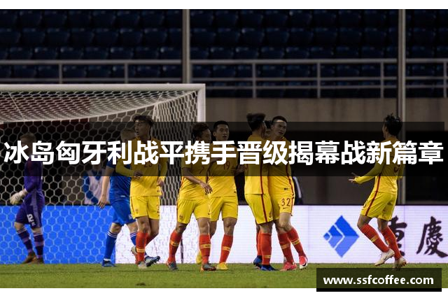 冰岛匈牙利战平携手晋级揭幕战新篇章