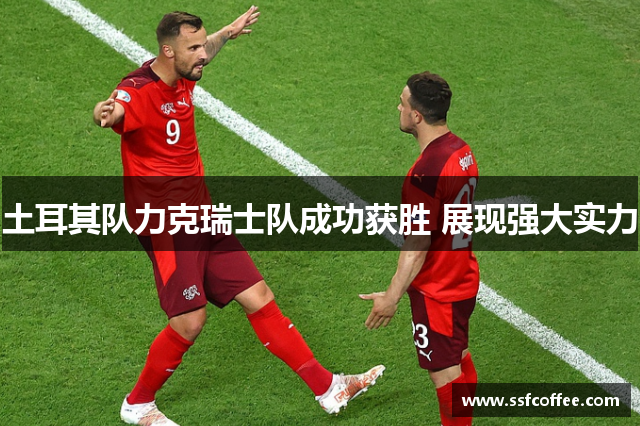 土耳其队力克瑞士队成功获胜 展现强大实力