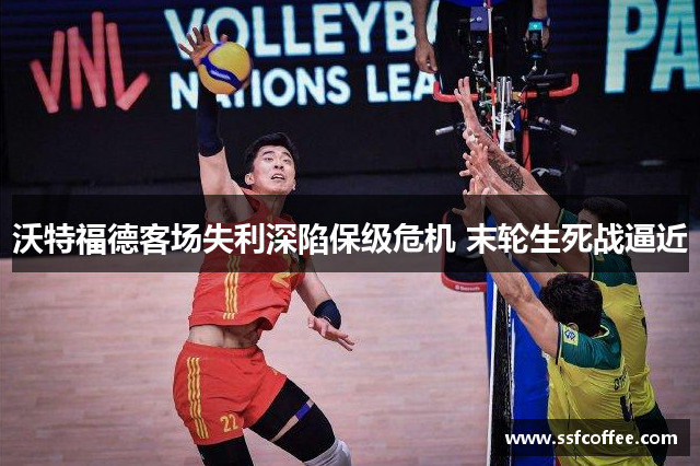 沃特福德客场失利深陷保级危机 末轮生死战逼近
