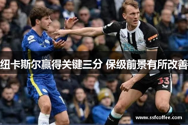 纽卡斯尔赢得关键三分 保级前景有所改善