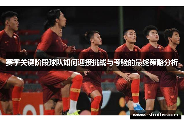 赛季关键阶段球队如何迎接挑战与考验的最终策略分析