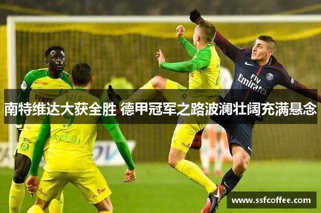 南特维达大获全胜 德甲冠军之路波澜壮阔充满悬念