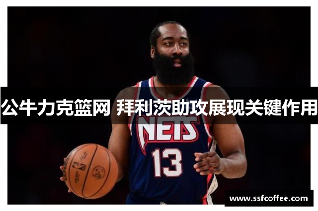 公牛力克篮网 拜利茨助攻展现关键作用