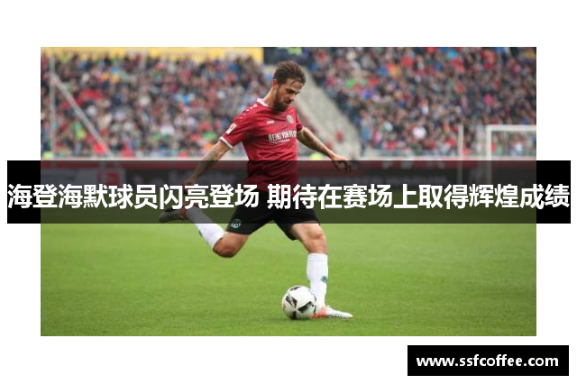 海登海默球员闪亮登场 期待在赛场上取得辉煌成绩