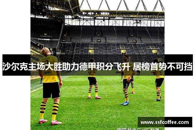 沙尔克主场大胜助力德甲积分飞升 居榜首势不可挡