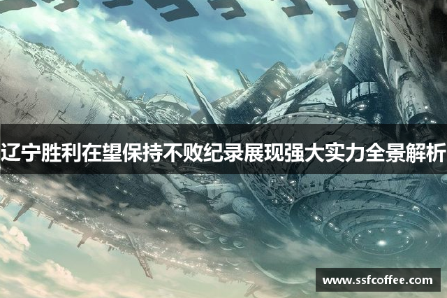 辽宁胜利在望保持不败纪录展现强大实力全景解析