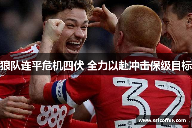 狼队连平危机四伏 全力以赴冲击保级目标