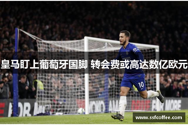 皇马盯上葡萄牙国脚 转会费或高达数亿欧元