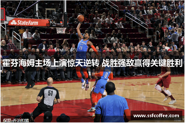 霍芬海姆主场上演惊天逆转 战胜强敌赢得关键胜利