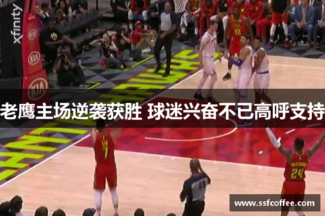 老鹰主场逆袭获胜 球迷兴奋不已高呼支持
