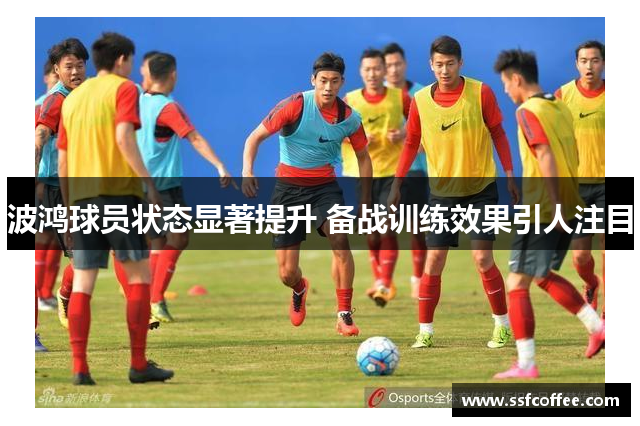波鸿球员状态显著提升 备战训练效果引人注目