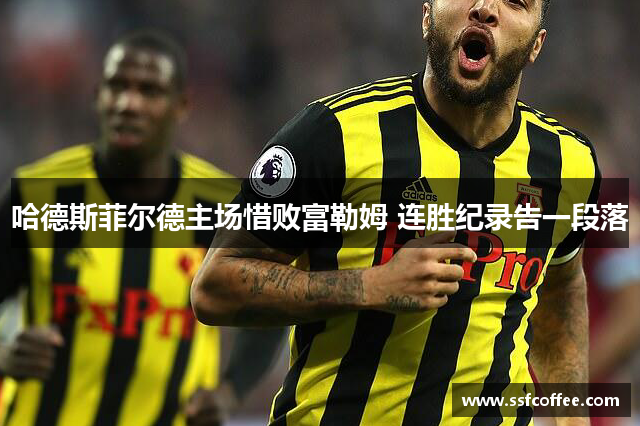 哈德斯菲尔德主场惜败富勒姆 连胜纪录告一段落