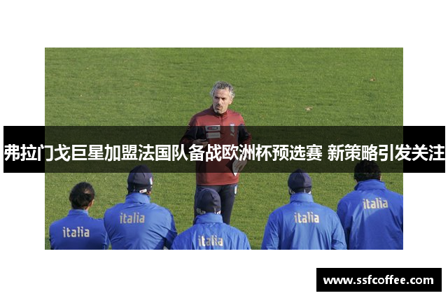 弗拉门戈巨星加盟法国队备战欧洲杯预选赛 新策略引发关注