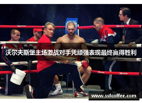 沃尔夫斯堡主场激战对手凭顽强表现最终赢得胜利