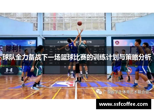 球队全力备战下一场篮球比赛的训练计划与策略分析