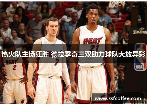 热火队主场狂胜 德拉季奇三双助力球队大放异彩