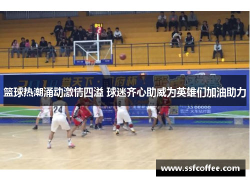 篮球热潮涌动激情四溢 球迷齐心助威为英雄们加油助力
