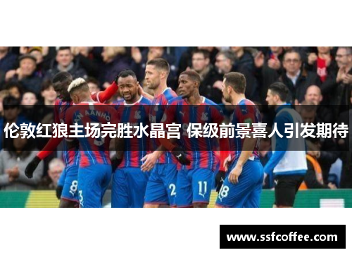 伦敦红狼主场完胜水晶宫 保级前景喜人引发期待