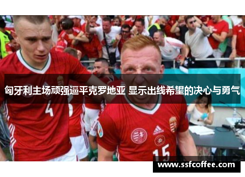 匈牙利主场顽强逼平克罗地亚 显示出线希望的决心与勇气
