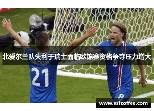 北爱尔兰队失利于瑞士面临欧锦赛资格争夺压力增大