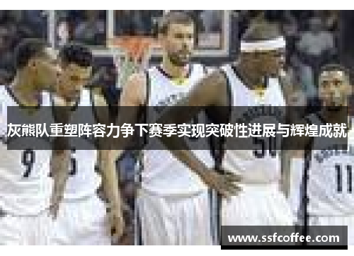 灰熊队重塑阵容力争下赛季实现突破性进展与辉煌成就