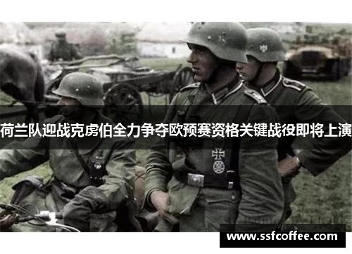 荷兰队迎战克虏伯全力争夺欧预赛资格关键战役即将上演