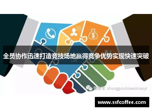 全员协作迅速打造竞技场地赢得竞争优势实现快速突破