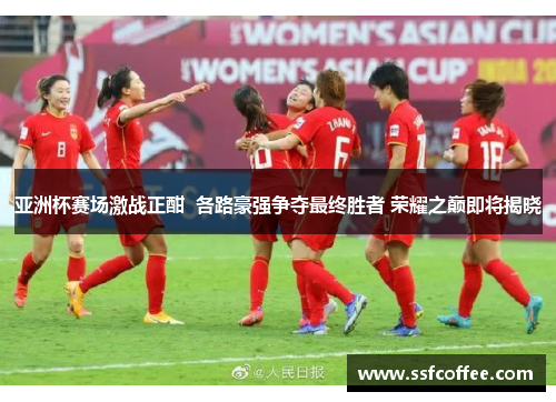 亚洲杯赛场激战正酣 各路豪强争夺最终胜者 荣耀之巅即将揭晓