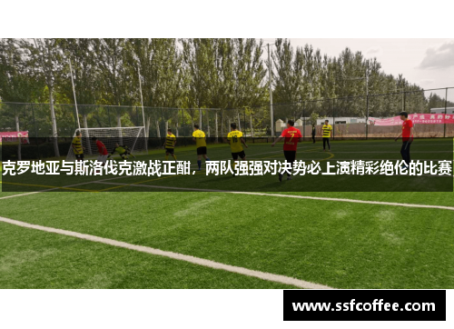 克罗地亚与斯洛伐克激战正酣，两队强强对决势必上演精彩绝伦的比赛