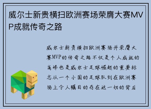 威尔士新贵横扫欧洲赛场荣膺大赛MVP成就传奇之路
