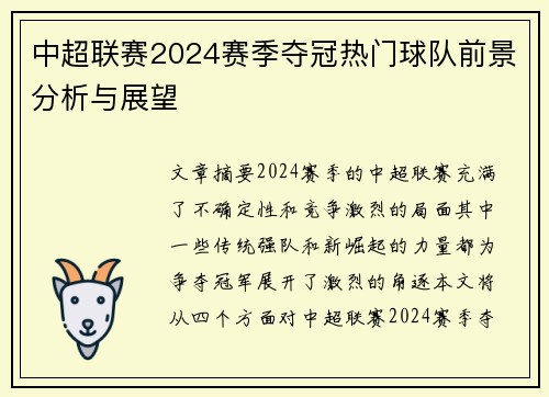 中超联赛2024赛季夺冠热门球队前景分析与展望