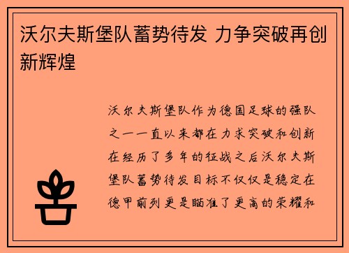 沃尔夫斯堡队蓄势待发 力争突破再创新辉煌