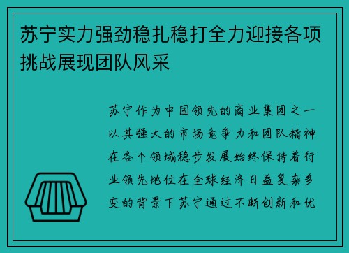 苏宁实力强劲稳扎稳打全力迎接各项挑战展现团队风采